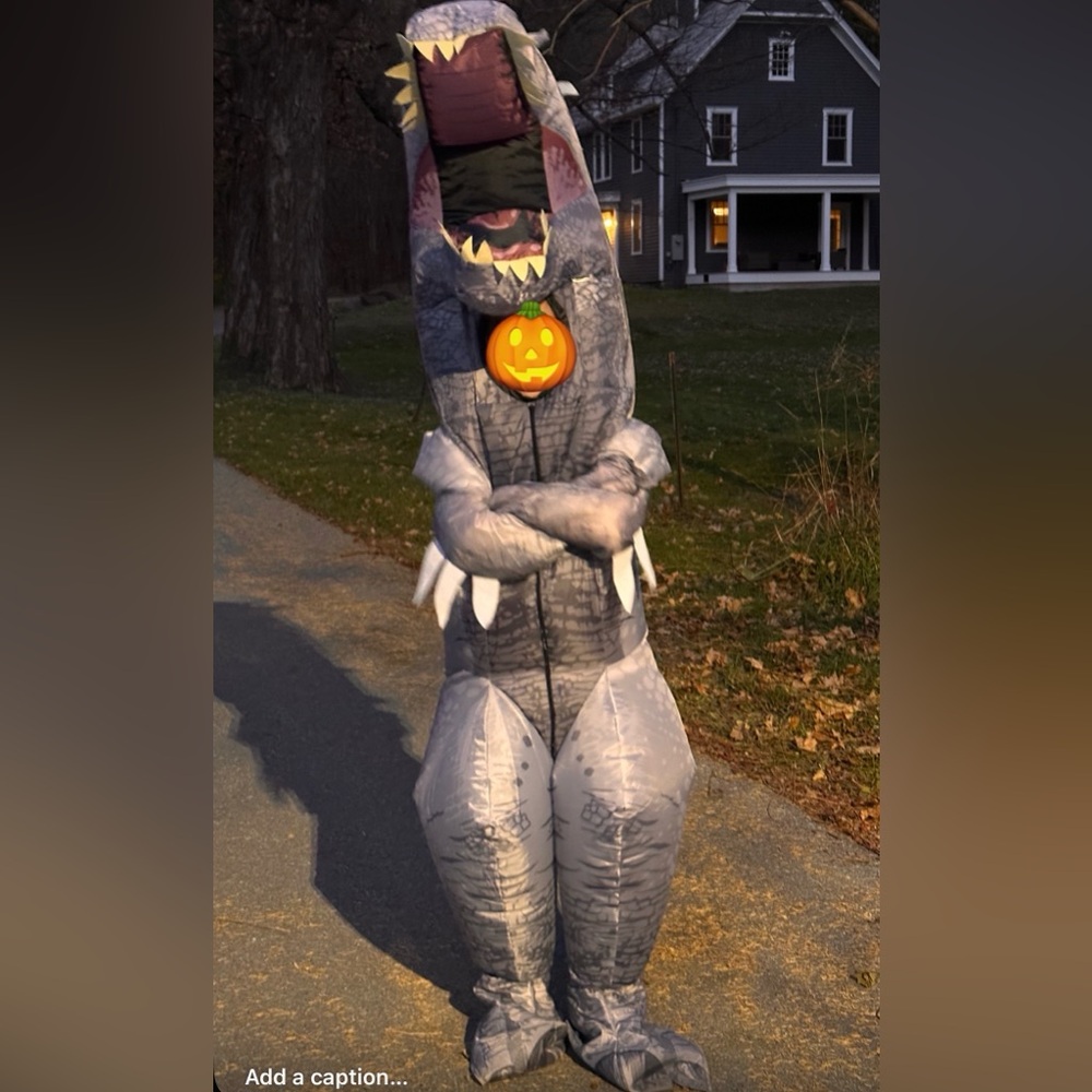 Ferocious Dinosaur Kids Costume - Gray